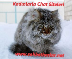 Kadınlarla Chat Siteleri