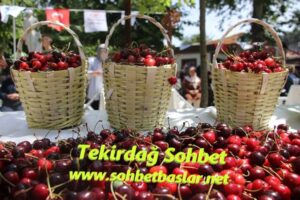 Tekirdağ Sohbet